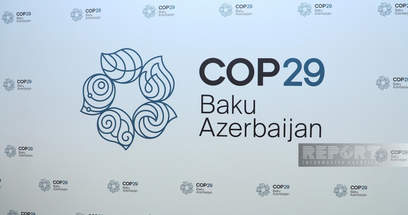 COP29 logo made public