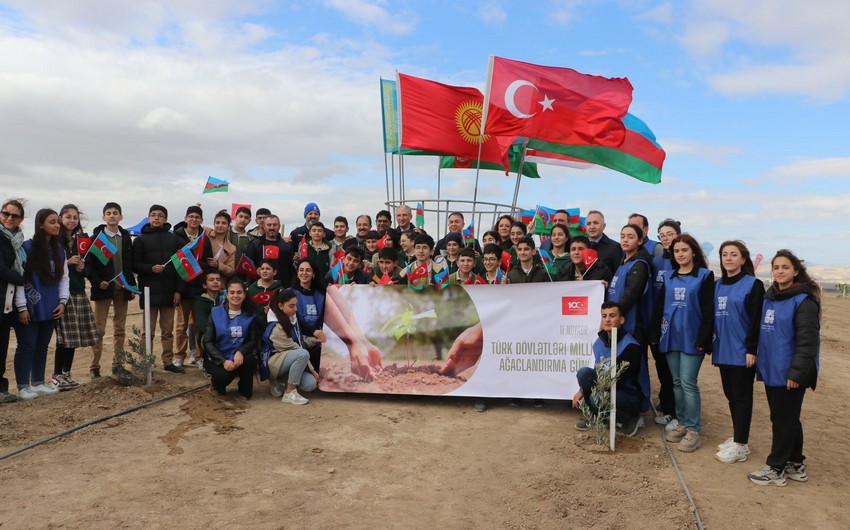 11,111 trees to be planted in Azerbaijan related to National Tree Planting Day