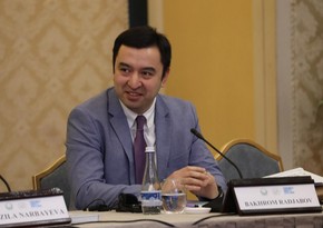 Политэкономист: Необходимо расширить инновационное сотрудничество между Азербайджаном и ЦА