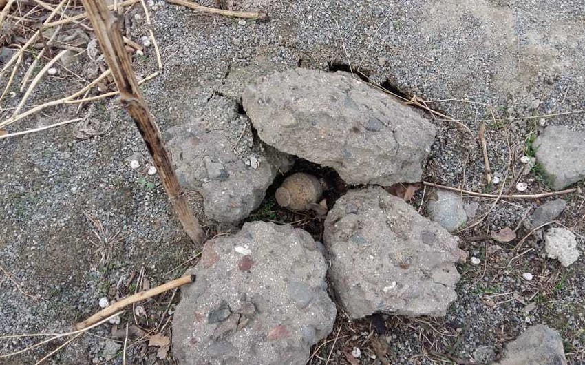Во дворе Азербайджанского технологического университета обнаружена ручная граната