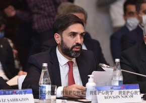 Ровшан Наджаф: Важно участие турецких компаний в проектах «Зеленой энергетики» в Карабахе