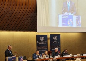 Number of diseases caused by global warming increasing, Azerbaijan's health minister says