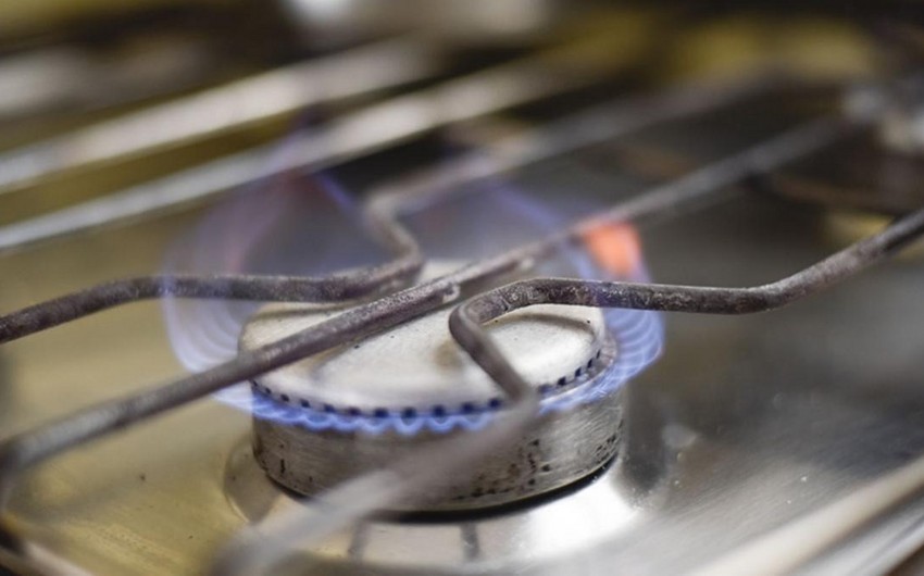 СМИ: В Аргентине ограничили поставки газа предприятиям из-за холодов