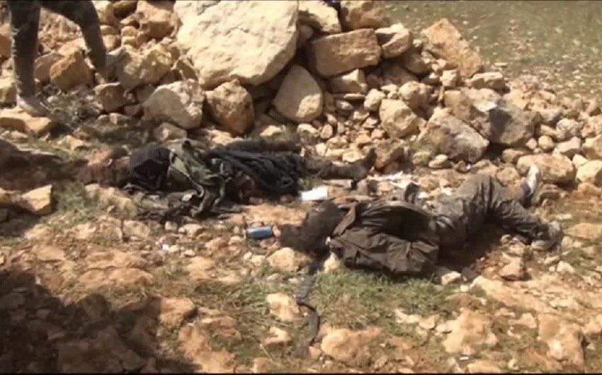 Сирийские войска уничтожили 50 террористов в провинции Хама
