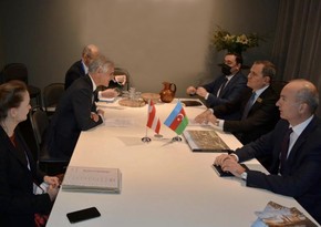Austria interested in developing economic relations with Azerbaijan