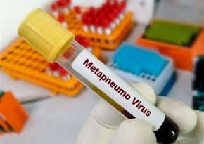 European Commission sees no risk of pandemic in Europe due to virus in China