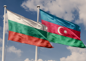 Азербайджан может поставить в Болгарию дополнительные объемы энергоресурсов