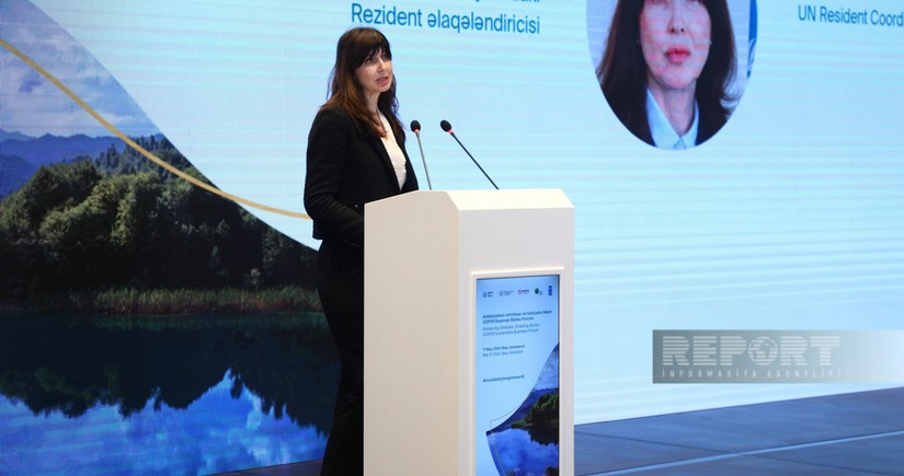 Vladanka Andreeva: UN hopes COP29 to increase ambitions to combat climate change