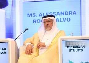 Al Rabeeah calls for exchange of expertise to tackle landmine crisis