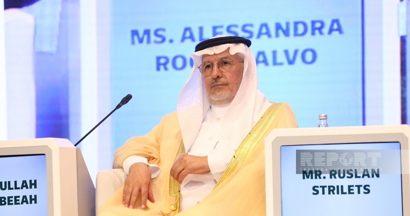 Al Rabeeah calls for exchange of expertise to tackle landmine crisis