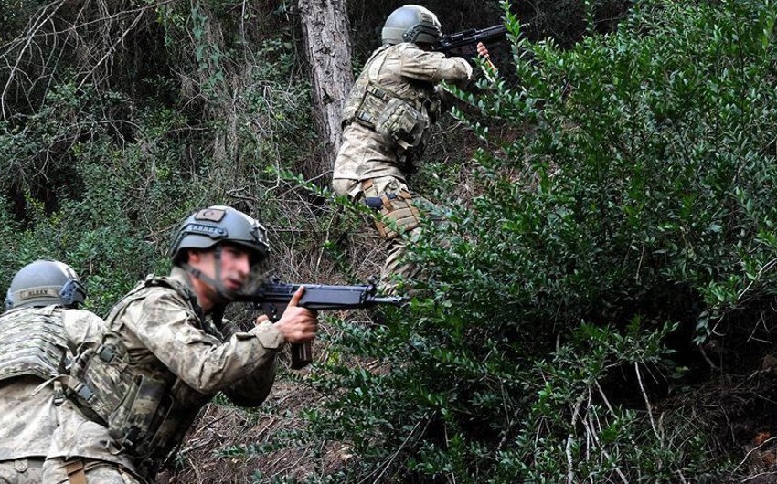 Türkiyənin jandarm qüvvələrinin neytrallaşdırdığı terrorçuların sayı açıqlanıb