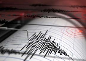 Землетрясение магнитудой 6,0 произошло в Новой Зеландии