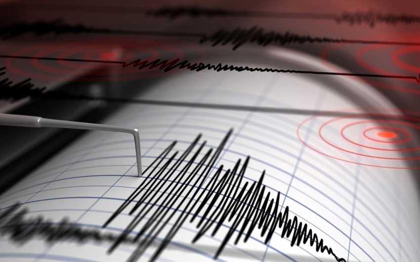 Землетрясение магнитудой 6,0 произошло в Новой Зеландии