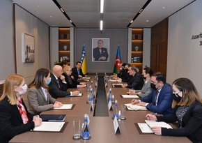 Expanded of meeting Azerbaijan, Bosnia and Herzegovina foreign ministers begins in Baku
