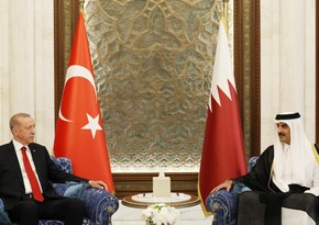Президент Турции и эмир Катара в Дохе проводят переговоры 