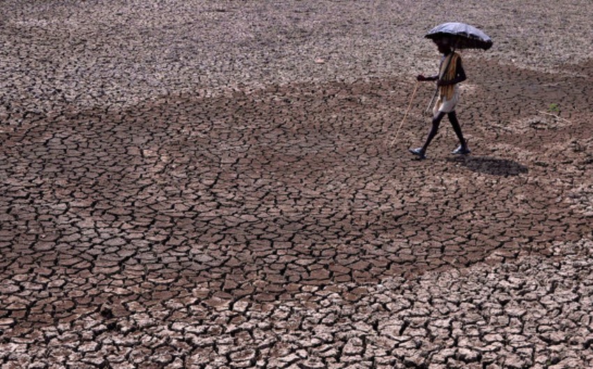 ​Число жертв аномальной жары на юге Индии превысило 2,2 тысячи человек