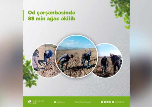 Сегодня в Азербайджане посажено свыше 88 тыс. деревьев