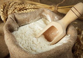 Kyrgyzstan introduces temporary ban on export of flour and grain