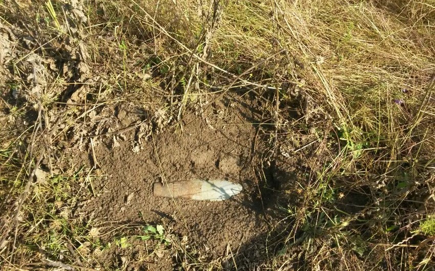 В Ленинградской области при утилизации снаряда погибли трое специалистов