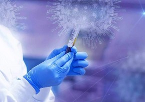 Ученые работают над вакциной для пожизненного иммунитета от COVID-19
