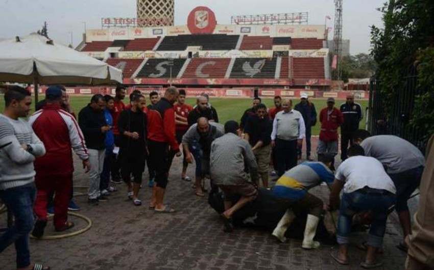 В египетском футбольном клубе принесли в жертву быка на удачу