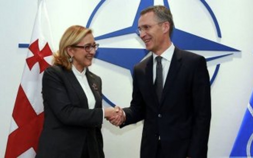 Глава МИД Грузии и генсек НАТО обсудили вопрос вступления страны в альянс