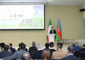 Ricardo Cursi: Italy expanding co-op with Azerbaijan in non-oil sector