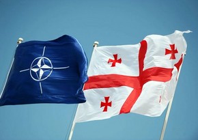 NATO calls on Georgia to accelerate reforms