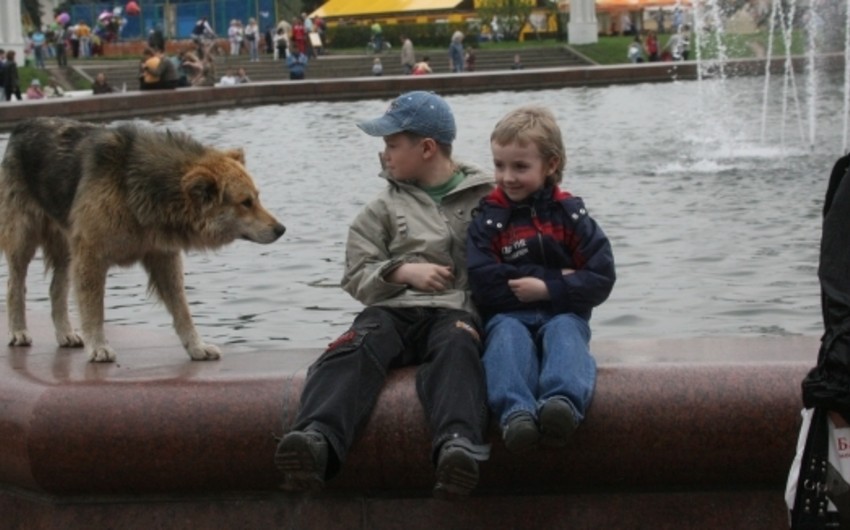 ​Moskvada zoopolislərin yaradılması təklif olunur
