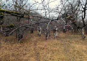 Военнообязанные запаса прошли подготовку в рамках очередных учебных сборов