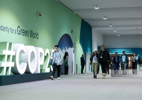 Фоторепортаж с восьмого дня климатической конференции COP29