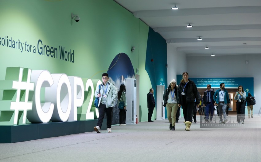 Фоторепортаж с восьмого дня климатической конференции COP29