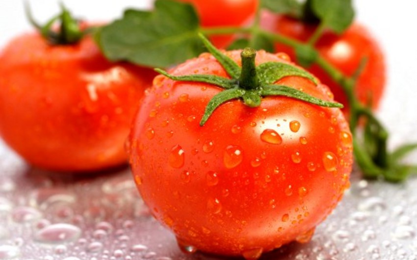 Rusiya Türkiyədən idxal olunan pomidorun ölkəyə girişinə qadağa qoyub