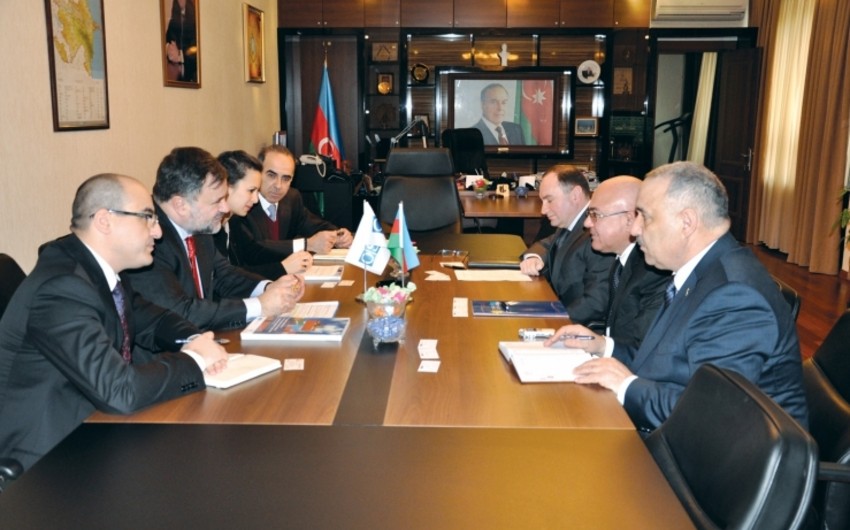 ​Председатель Государственного таможенного комитета принял делегацию Бакинского офиса ОБСЕ