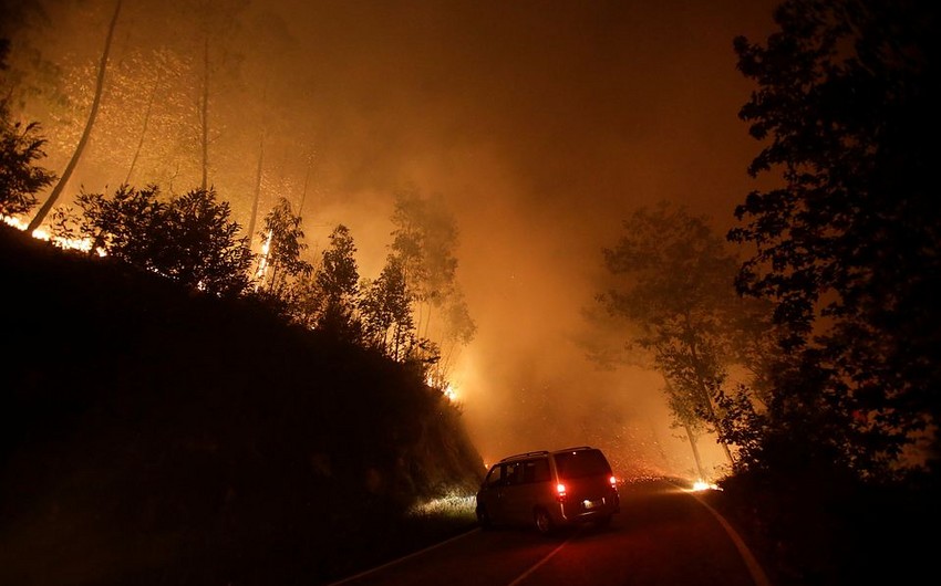 В Португалии из-за лесных пожаров погибли 27 человек