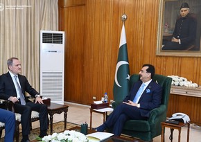 Azerbaijani FM discusses preparations for COP29 with Acting President of Pakistan