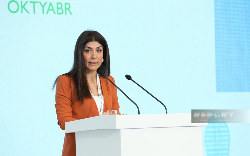 Nigar Arpadarai: Baku Climate Week significant step towards COP29