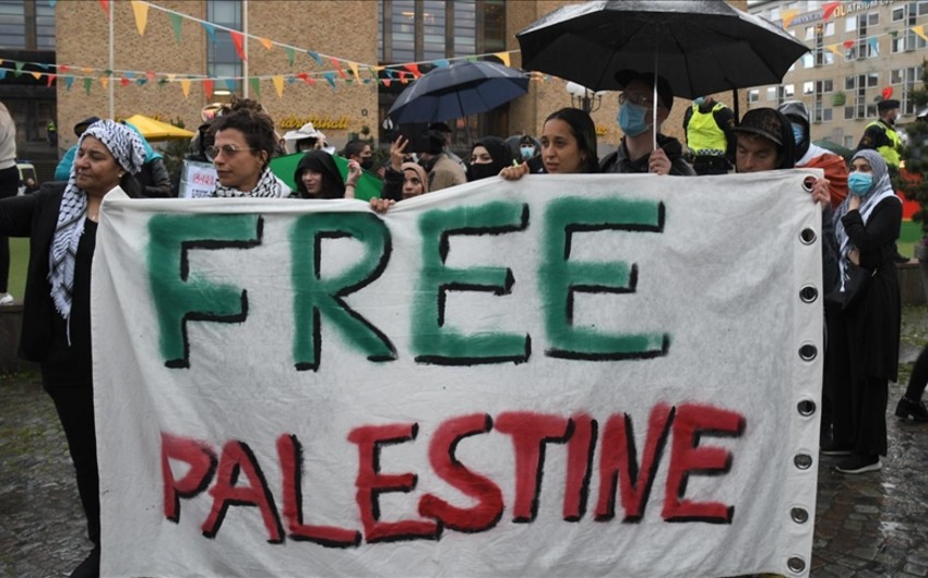 В Швеции задержали 15 студентов за участие в акции против Израиля 