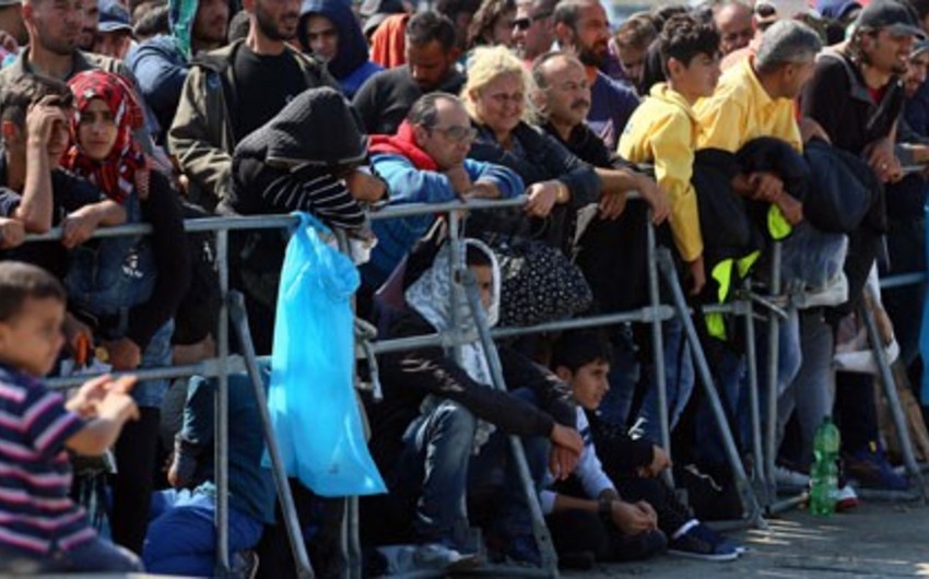 Подразделения сухопутных войск Болгарии задержали более 80 нелегальных мигрантов