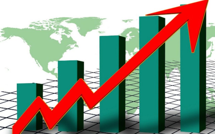 Годовая инфляция в Турции ускорилась до 54,44%