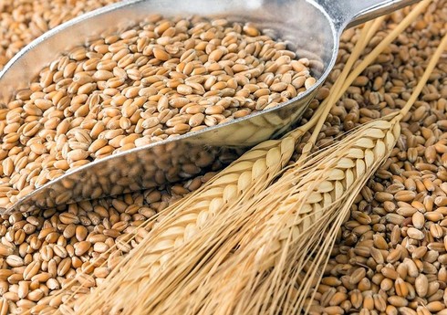 Расходы Азербайджана на импорт одной тонны пшеницы выросли на 33%