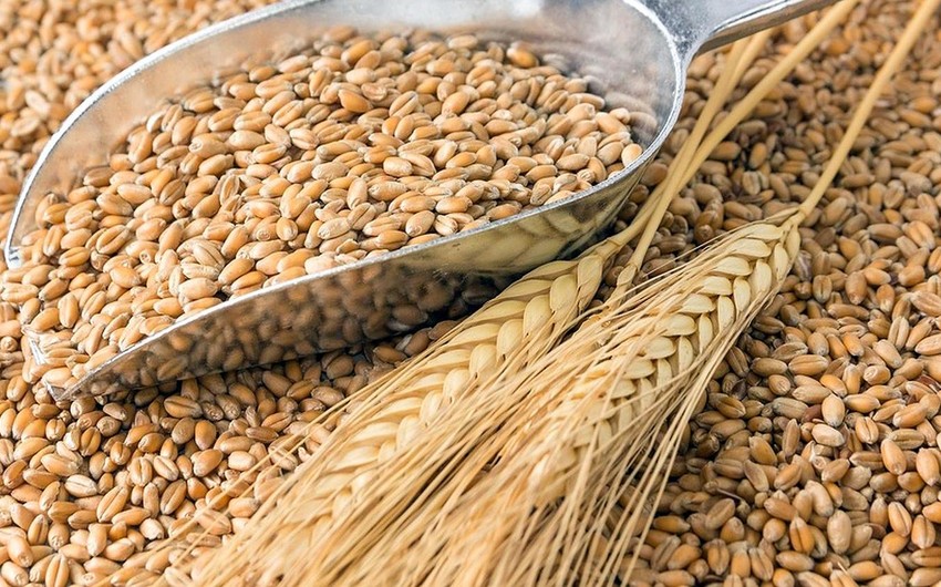 Georgia imposes one-year ban on export of wheat and barley