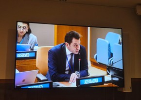 Azerbaijani official informs ECO members on priorities of Azerbaijan's chairmanship to COP29