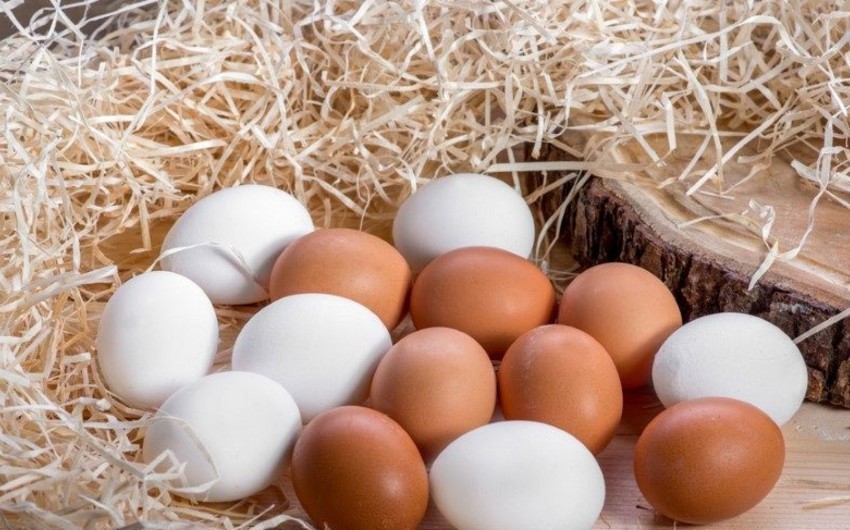 Assosiasiya sədri: Yumurtanın mövcud qiymətlərdən yuxarı satışı gözlənilmir