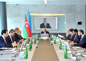 SOCAR's participation in foreign investment projects discussed