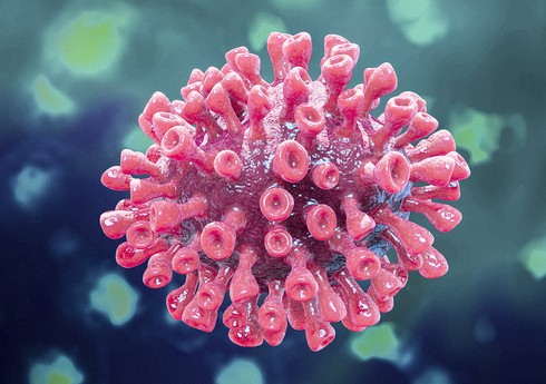 Ученые выявили десятки нейтрализующих коронавирус антител