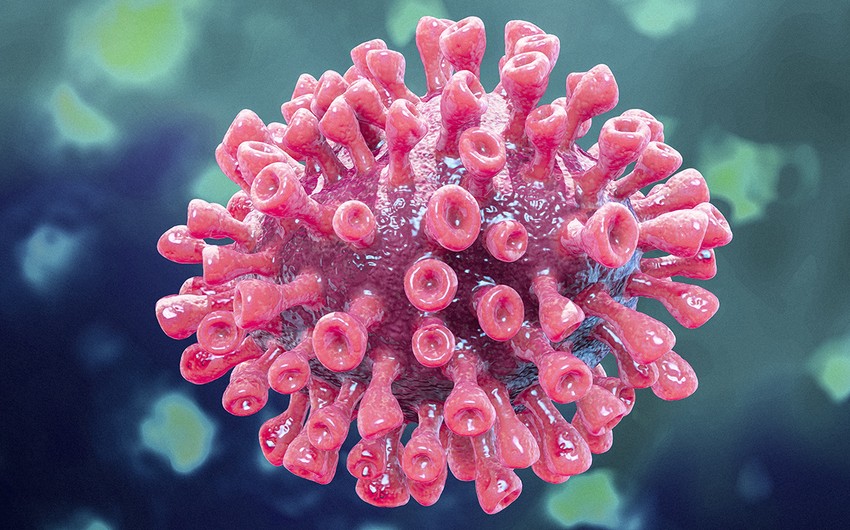 Ученые выявили десятки нейтрализующих коронавирус антител