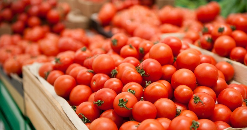 Azerbaijan's revenues from tomato exports up 11%