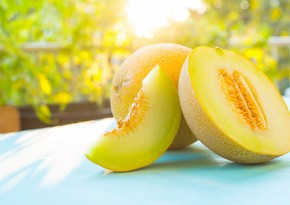 Azerbaijan expands melon export markets in 2023