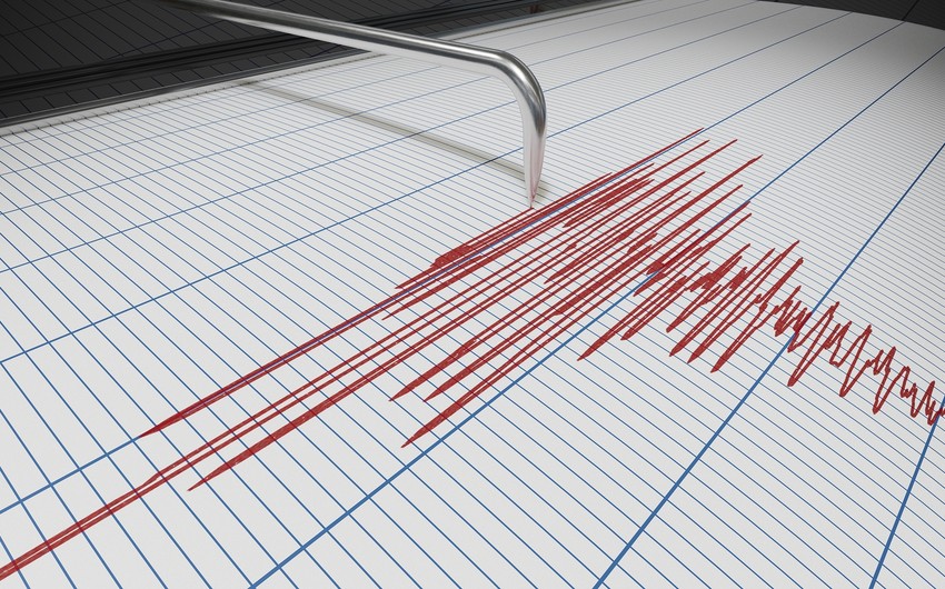4.6-magnitude quake hits Iran's South Khorasan province 
